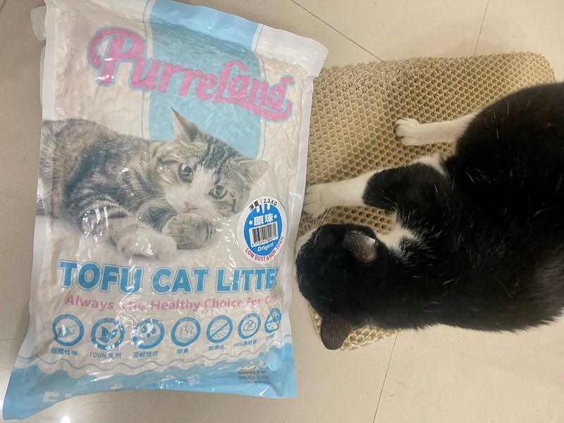 女人知己試用大隊,口碑行銷,部落客行銷,PurreLand 倍淨豆腐貓砂,好市多購買,COSTCO購買,豆腐貓砂,PurreLand倍淨,低粉塵,易清理,可沖馬桶,提供絕佳的除臭與凝結力,豆腐貓砂評價,貓砂評價,使用心得,貓砂分享,好用,原味,綠茶,豆腐砂,水量需完全覆蓋貓砂,水量需貓砂的2~3倍以上,豆腐砂評價,高CP值,划算